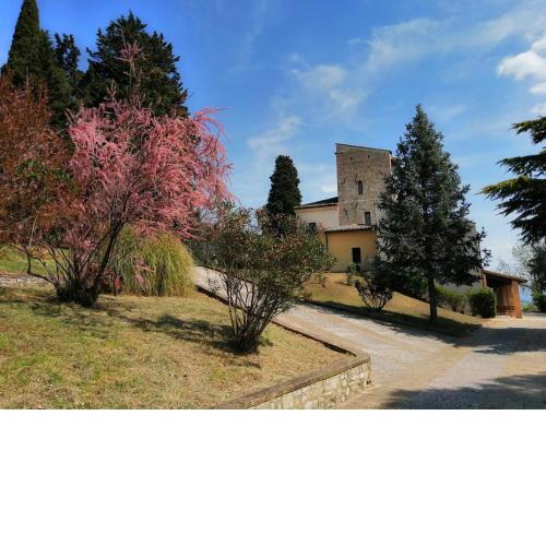 Casa per Ferie Ulivo d'Assisi