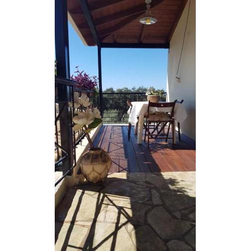 COZY HOME Sivota