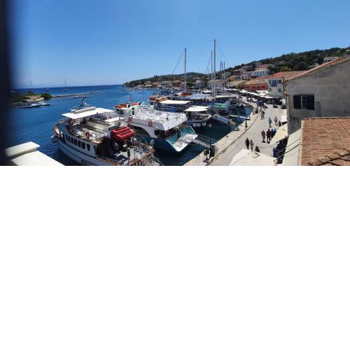 ELENA SEA VIEW STUDIO