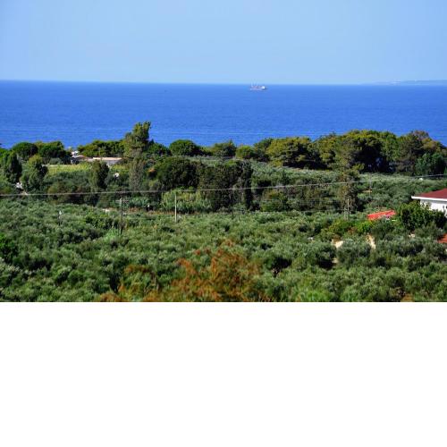 Villa Belvedere - 4 bedrooms Sea View House